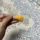 호텔얌(하당점) | 치앙마이 마야몰 림핑마켓 쇼핑리스트, 로띠 먹어보기
