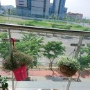 동백미장원 이미지