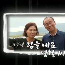 박영철농장 네이버블로그