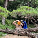 외갓집클라스 | 10월 화담숲 (화담채+모노레일) 단풍 예매 &amp; 오후방문 존잼후기🍂🍁🌳