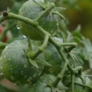 발산1동주민센터 이미지