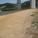 김근태농장 이미지