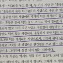 도지화 네이버블로그