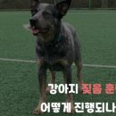 올바른 참견 이미지