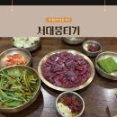 서대뭉티기 | 서대문역 서대뭉티기 솔직후기｜육사시미부터 떠먹는 한우불초밥까지, 밤에 가면 더 좋은 이유