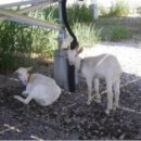 ○○○ 태양광발전소12 이미지