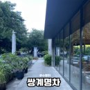명차보이차카페 | [하동여행] 쌍계명차 본점, 전통차에 스며든 쉼｜화개터미널 근처 하동 가볼만한 곳