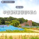 경기도 부천시 / 전주이씨 효령대군 현손 사직공 내동 종중 선영 ~ 춘의산