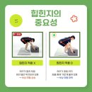 단하나피티 이미지