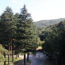 법기수원지 이미지