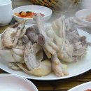 촌닭 이미지