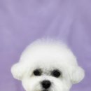 MUNG MOO 이미지