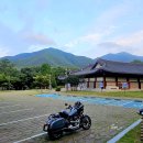영덕07 Daum카페