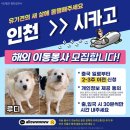 [해외이동]인천＞시카고/출국일 2~3주 이전 신청 이미지