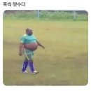 짜오란 이미지