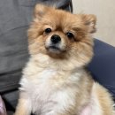 도개박골 | 남자얘기 99%