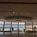 로쏘호텔 | 몬테로쏘, 소노캄 거제 맛집, 재재재방문한 솔직 후기