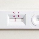 부평2파출소 이미지