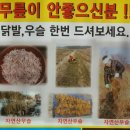 무등산건강원 - 부천시 원미구 부천로121번길 32 | 무등산건강원