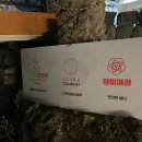 제주장미여관