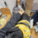 한양한방동물병원 이미지