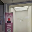 [오늘의 하루] 서울 전시회 카와시마 코토리 : 사란란 / 미라이짱 관람 후기