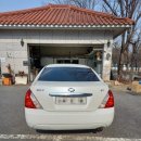 서강상사 이미지