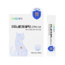 포캣(for cat) 이미지