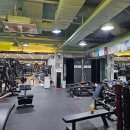 플레이 핏 이미지