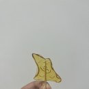 왕발뽑기장 | 유학 한달 전…
