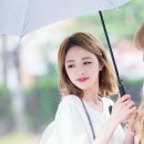 핑크고래 이미지