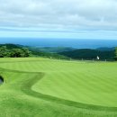 블루도그클럽 이미지