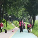 강남환경자원센타 네이버블로그