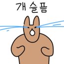 성영주치과의원 이미지