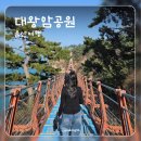 대왕암공원 | 울산 여행, 울산 가볼만한 곳, 대왕암공원 산책 코스 추천, 출렁다리, 울기등대 후기