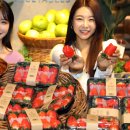 킹스베리 이미지