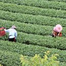 밝음농장 이미지