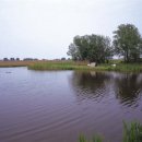 물수제비 이미지