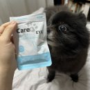 오꼬미 이미지