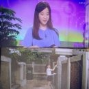 왕가네 왕만두 | KBS TV비평 시청자데스크 제작현장속으로 출연 : 왕가네식구들 인터뷰