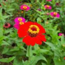 길마행정사 사무소 이미지