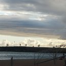 비치파크 이미지