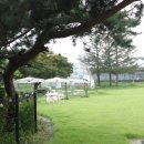 카페(CAFE)그루 이미지