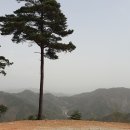 임도조망점 이미지