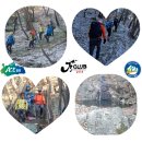 금잔디상회 이미지