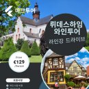본투어 이미지