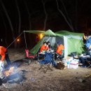 장사해수욕장(솔밭) 이미지