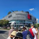 엔도웍 | 태국/치앙마이 ㅣ12ㅣ 마야몰 쇼핑🛍 약국, 충전기, 그리고 4층 푸드코트 문신청년 팟타이 맛있어요😋