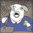 홍천횟집