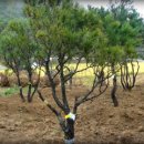 지천농장 이미지